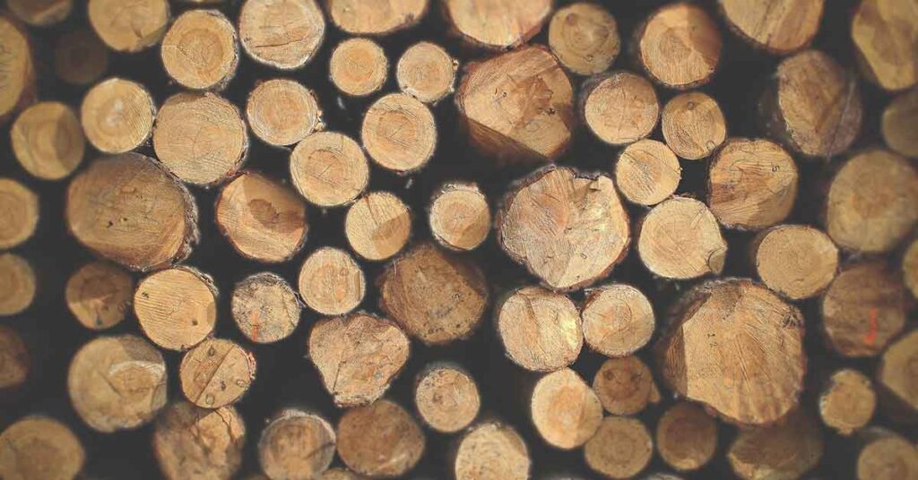 Is Burning Green Wood Bad? A1 Chimney Pro